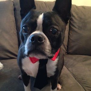 Meet your Posher, Stacey